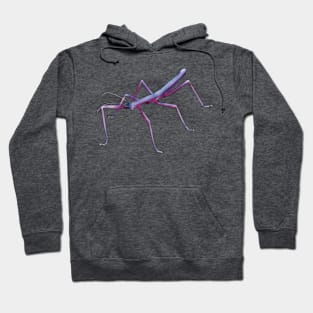 Bisexual Stick Bug Hoodie